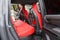 2025 Toyota Tacoma i-FORCE MAX TRD Pro Hybrid