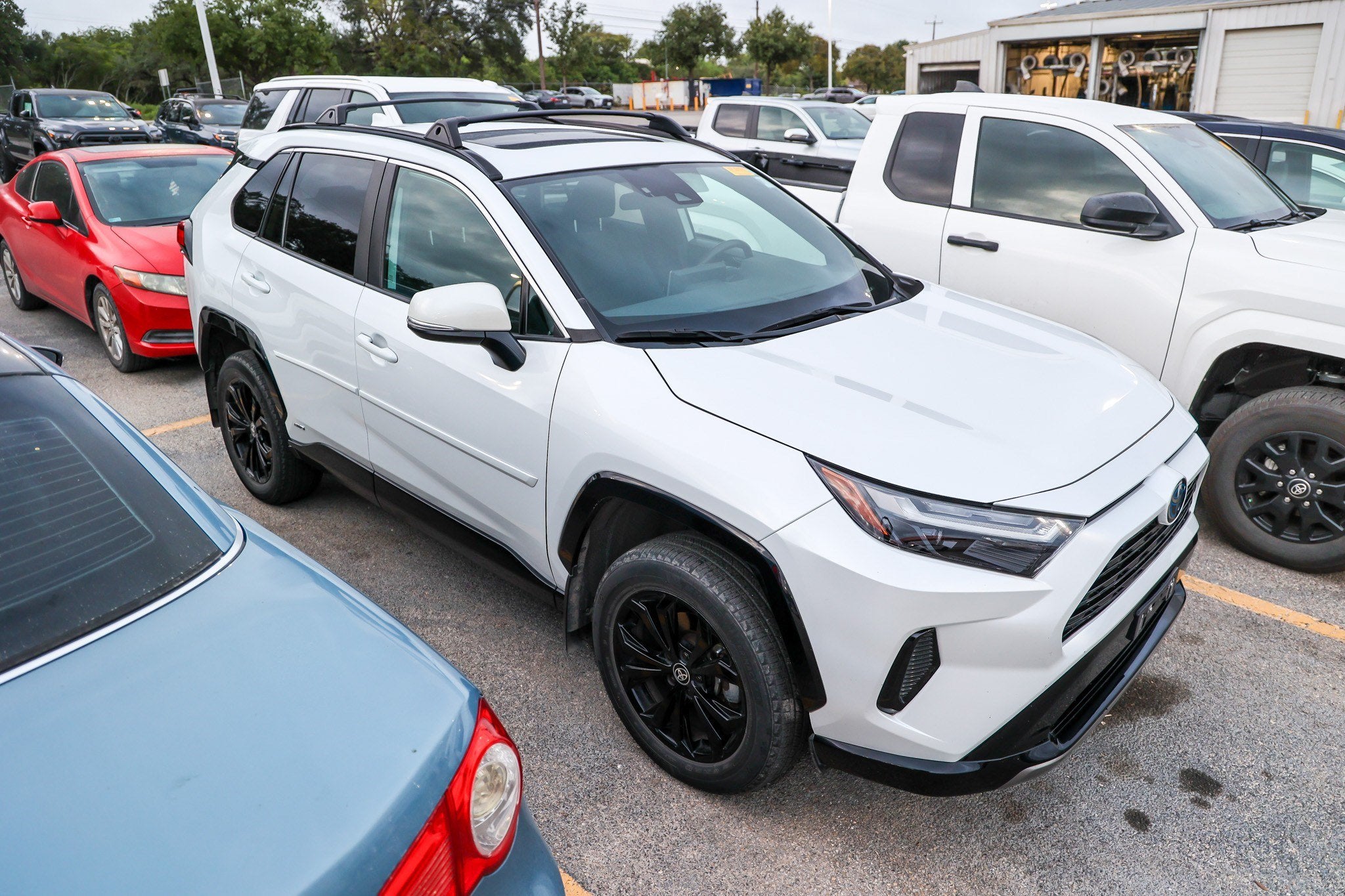2024 Toyota RAV4 Hybrid Hybrid SE