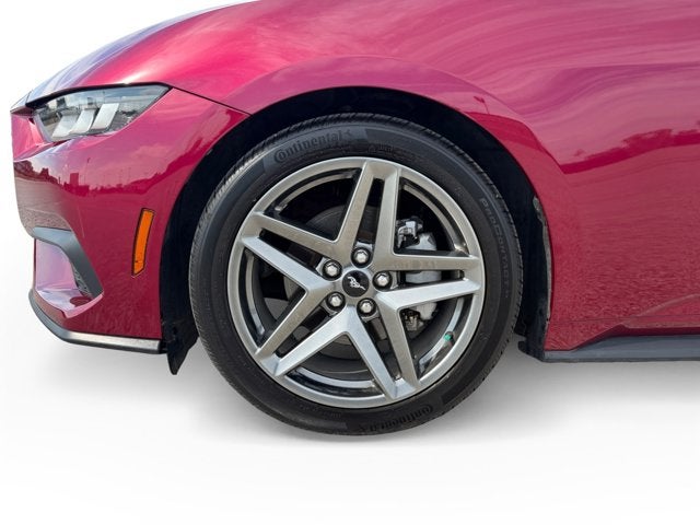 2025 Ford Mustang Base