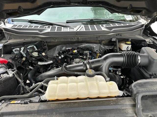 2024 Ford F-150 STX®