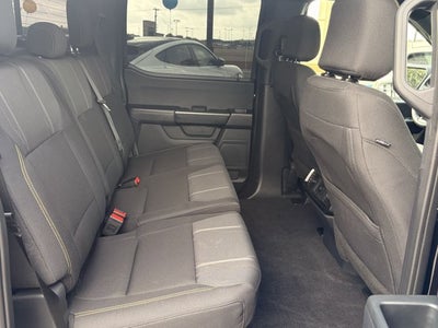 2025 Ford F-150 STX®