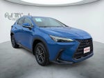2025 Lexus NX NX 350 Premium